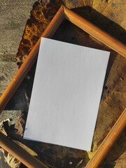 Autumn mockup for postcards or greetings. Template for photomontage. 