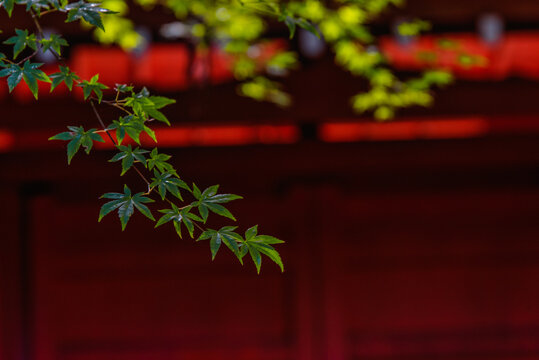 2 775 件の最適な 枯山水 画像 ストック写真 ベクター Adobe Stock