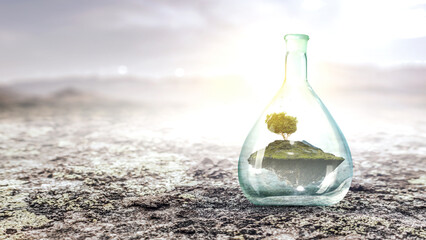 Tree growing inside clear glass bottle . Mixed media