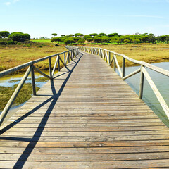 Fototapeta na wymiar Wooden walkway in Marshes of Rio Piedras (River Stones) Natural Park in El Rompido, province of Huelva, Andalusia, Spain