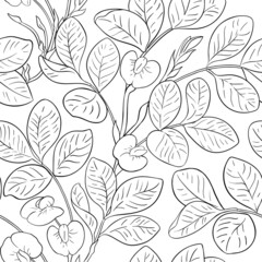 peanut vector pattern on white background