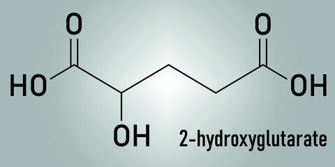 2-hydroxyglutarate molecule. Skeletal chemical formula.