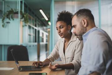 African American businesswoman in a meeting using a laptop