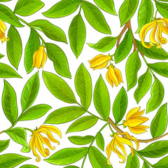 ylang ylang pattern on white background