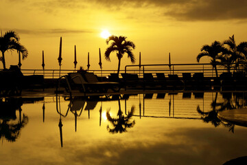 Palm tree silhouetted against the setting sun with reflection in the still water of a swimming pool. No people, Space for copy.