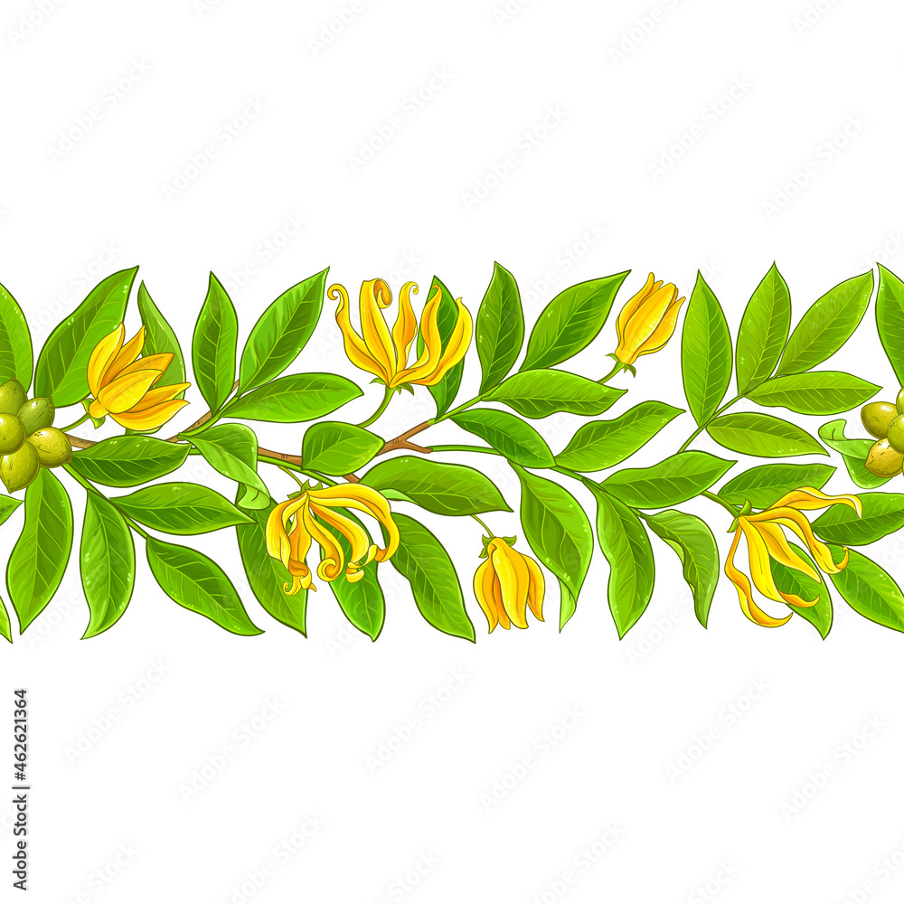 Poster ylang ylang pattern on white background