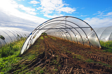 Polytunnel in agricultural field, ready to be planted with new winter crop.