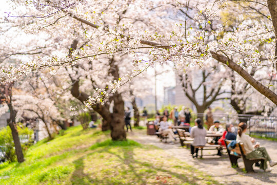 外濠公園 Images Browse 73 Stock Photos Vectors And Video Adobe Stock