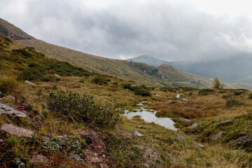 Autumn on the Alps in Italy, the landscape of the woods and mountains with colored foliage. Low grey clouds on the peaks.