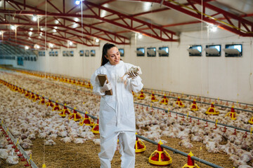 veterinarian holding chicken in farm