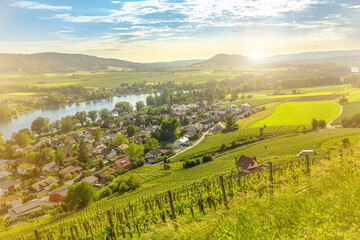 Fototapeta premium Scenic fortified Gothic city Stein am Rhein and vineyard Terraces at sunset with aerial cityscape. Lake Constance contryside in Switzerland on Rhine river in the canton Schaffhausen.