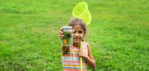 The child catches butterflies in nature. Selective focus. ,