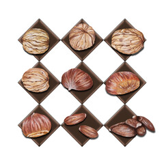 sfondo con elementi geometrici marroni e set di frutta secca disegnata a mano