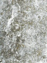 Dark textured cement wall material