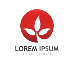 Maple leaf vector illustration