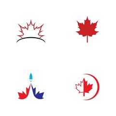 Maple leaf vector illustration