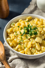 Healthy Homemade German Spaetzle Noodles