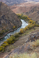 The Charyn river flows through the Charyn National Park and merges into the Ili River. It runs...
