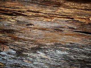 empty brown wooden board with soft light on morning for background.