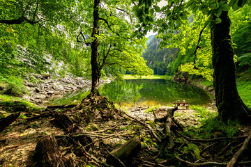 Two kids sitting at the lakeshore of the legendary Lake Kammersee, Ausseer Land, Styria, Austria, which is enclosed by mountains and a primeval forest
