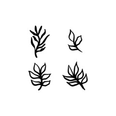 Little branches and floral doodles, hand drawn sketch drawings of plants, branches and leaves. Vector illustration.