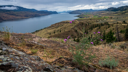 Kamloops Lake in British Columbia, Canada on a cloudy day.