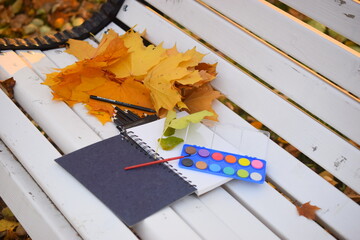 autumn leaves on the table
