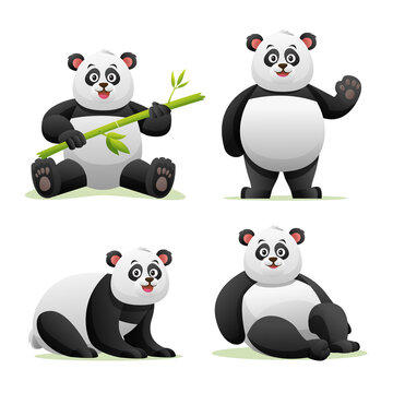 Set of panda in various poses cartoon illustration