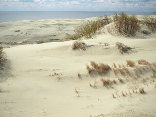 Fototapeta na wymiar Sand dunes of the Curonian Spit 