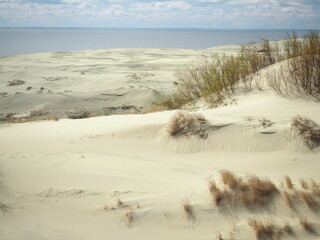 Fototapeta na wymiar Sand dunes of the Curonian Spit 