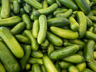 A pile of very delicious exotic vegetables, cucumber in a grocery.