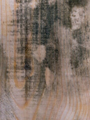 texture background
