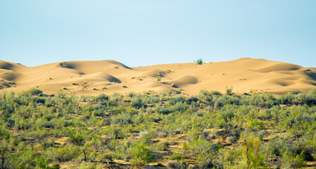 A beautiful panoramic view of the sand dunes. Endless arid desert