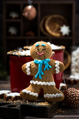 winter treats, gingerbread man cookies and hot chocolate, vertical