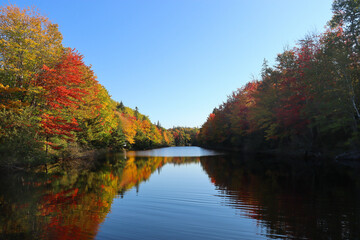 Fototapeta premium autumn in the park