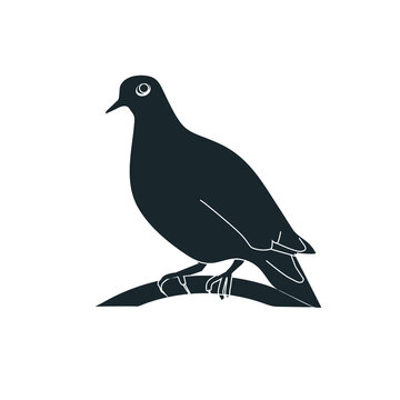 Mourning dove silhouette stock illustration.
