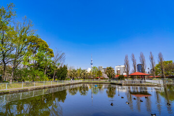 猿江恩賜公園のミニ木蔵（2021年3月）