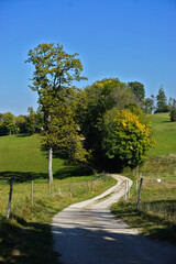 Feldweg in herbstlicher Landschaft auf der Schwäbischen Alb, country lane in autumnal landscape on the Swabian Alb