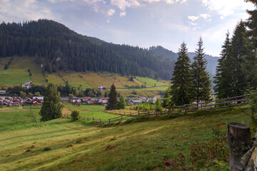 Fir Mountains:It is a fascinating landscape that brings peace and tranquility to your mind.green forests with blue sky,high altitude fir trees,