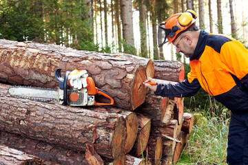 Professioneller Waldarbeiter, Holzfäller mit Arbeitsschutzkleidung und Kettensäge bei der Arbeit...