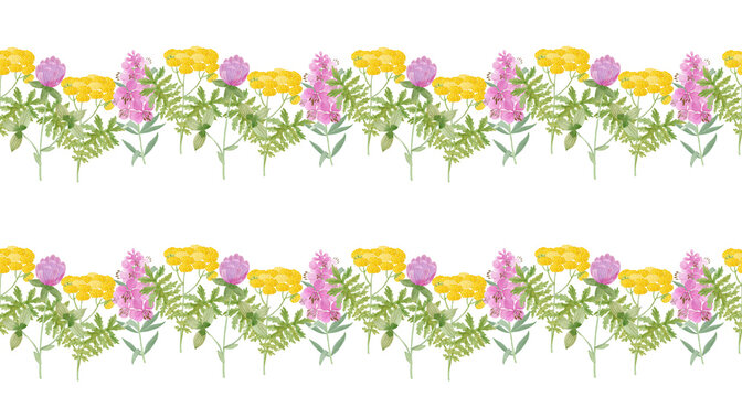Field, medicinal herbs. watercolor illustration. Clover. Tansy. Blooming Sally.