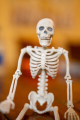 Blurry skeleton closeup macro photo for Halloween holiday