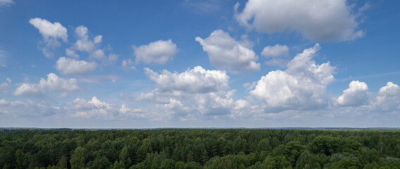 Obraz premium Blue summer day sky