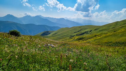 Fototapeta na wymiar A panoramic view on high Caucasus mountains in Georgia. There are high, snowcapped peaks in the back. Lush pasture in front. Idyllic landscape. Calmness and meditation. Natural remedy