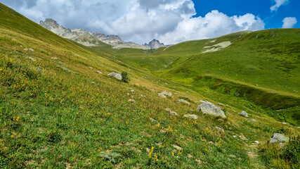 Fototapeta premium A panoramic view on high Caucasus mountains in Georgia. There are high, snowcapped peaks in the back. Lush pasture in front. Idyllic landscape. Calmness and meditation. Natural remedy
