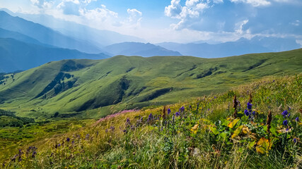 A panoramic view on high Caucasus mountains in Georgia. There are high, snowcapped peaks in the back. Lush pasture in front. Idyllic landscape. Calmness and meditation. Natural remedy