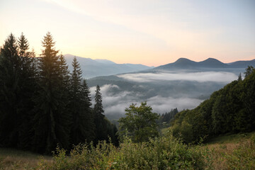Fototapeta na wymiar Picturesque view of beautiful foggy mountains in morning