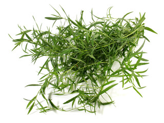 Fresh Tarragon Bundle isolated on white Background