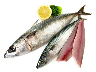 Whole Mackerel in various Size - Fish raw on white Background