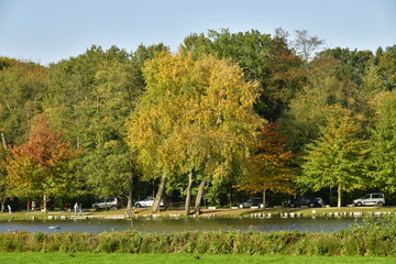 Arbres à feuillage parfois brun-rouges vifs bordant les rives du lac de Genval en automne 